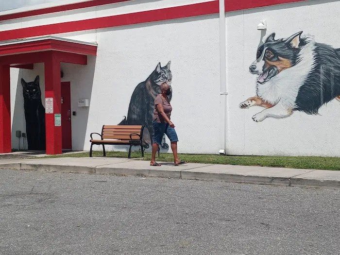 First Coast No More Homeless Pets /Joseph A. Strasser Regional Veterinary Hospital 3