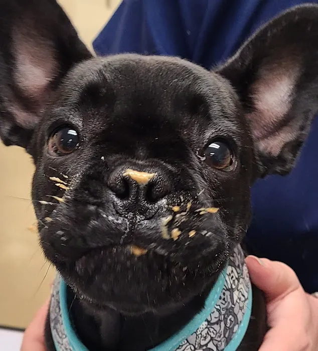 Bartram Trail Veterinary Hospital 10