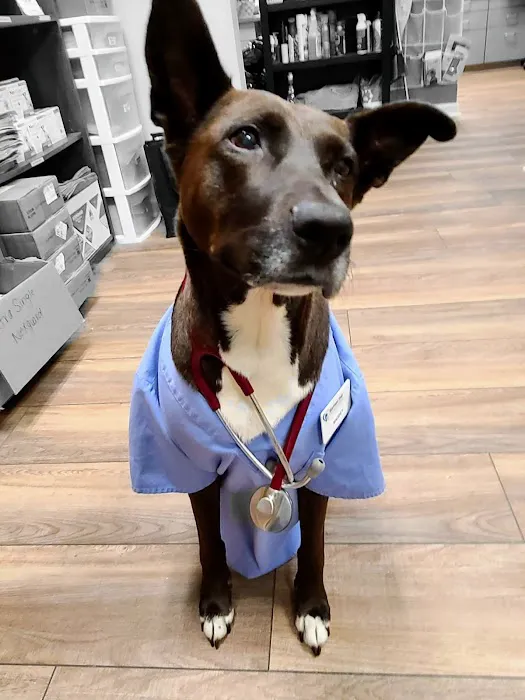 Bartram Trail Veterinary Hospital 9