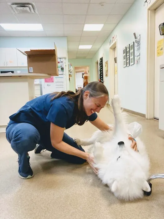Bartram Trail Veterinary Hospital 7