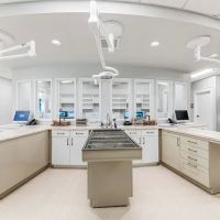 Palencia Pet Clinic ico