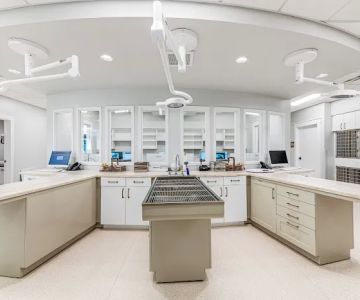 Palencia Pet Clinic
