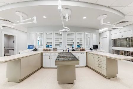 Palencia Pet Clinic