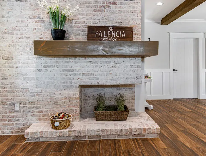 Palencia Pet Clinic 12
