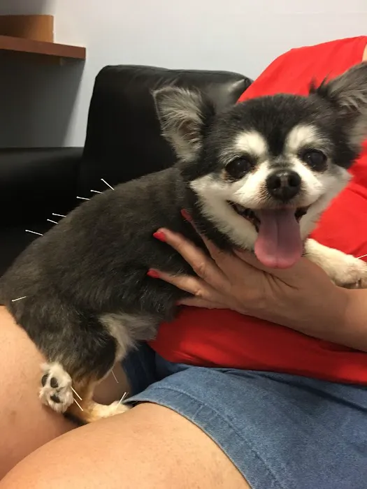 Nease Animal Hospital 1