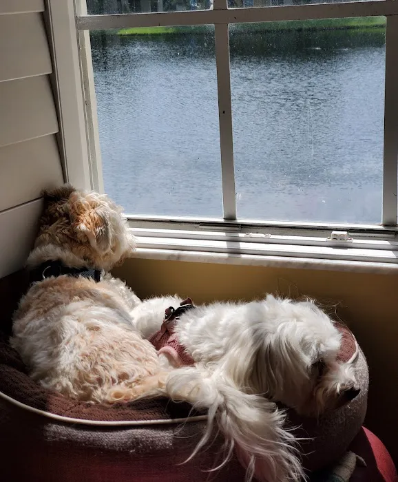 Nease Animal Hospital 8