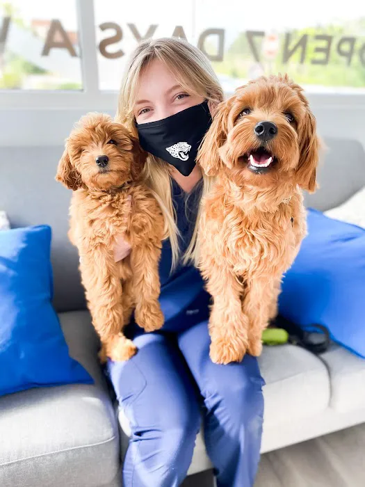 Forever Vets Animal Hospital at Nocatee 12