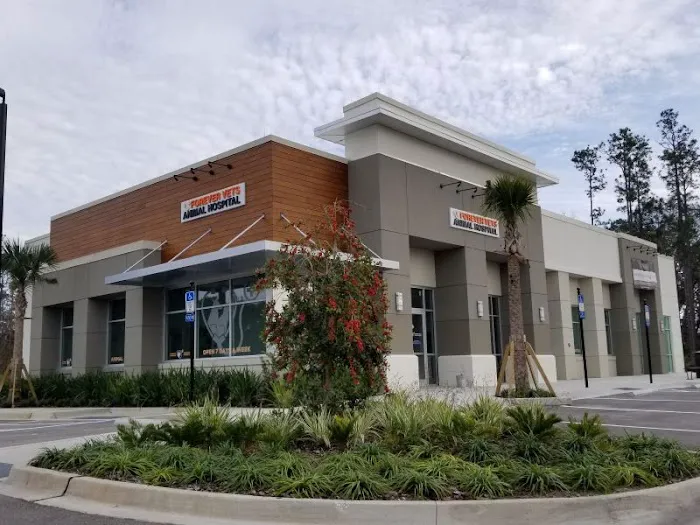 Forever Vets Animal Hospital at Nocatee 12