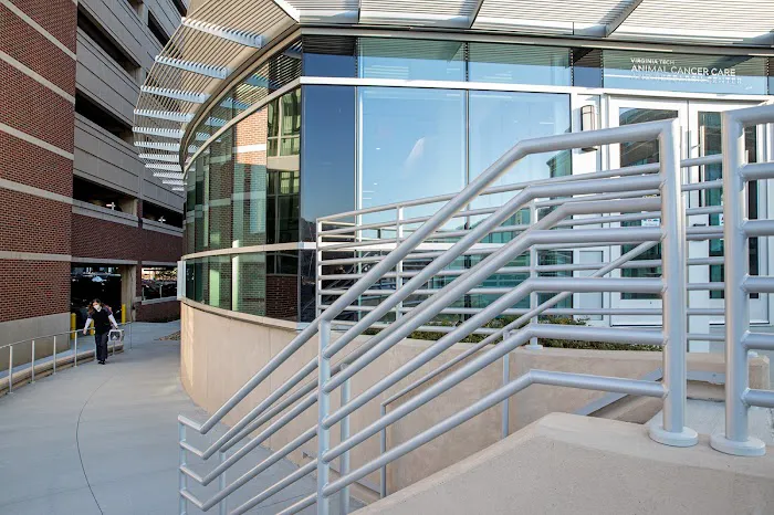 Animal Cancer Care and Research Center 4
