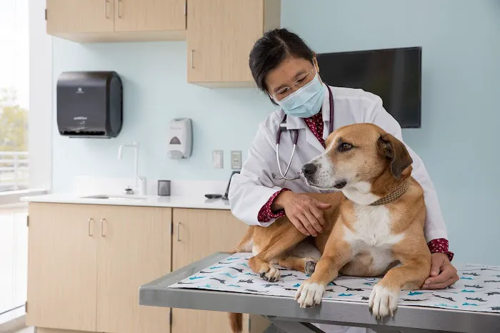 Animal Cancer Care and Research Center 1