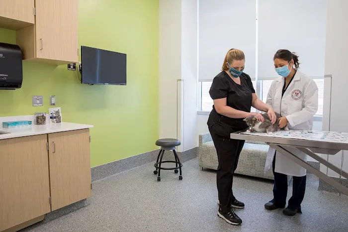 Animal Cancer Care and Research Center 5