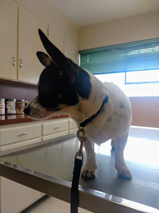 Brandon Animal Hospital 12