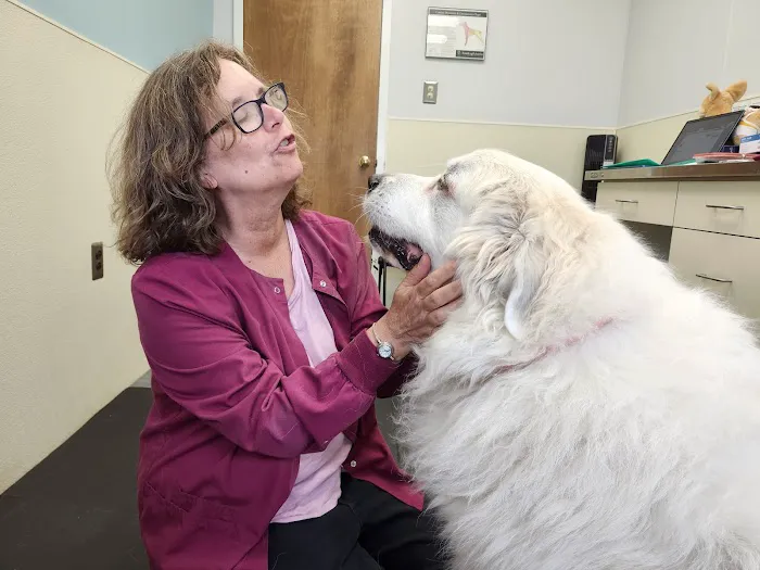 Brandon Animal Hospital 12