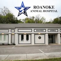Roanoke Animal Hospital ico