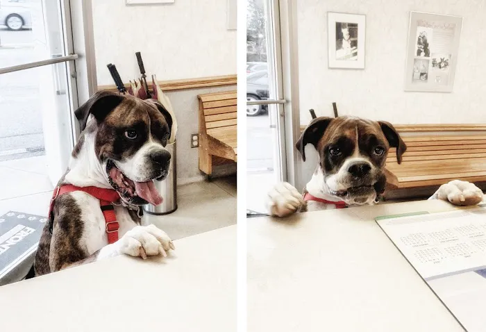 Roanoke Animal Hospital 4