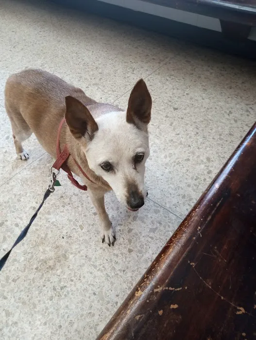 Animal Care Center Of Salem 12