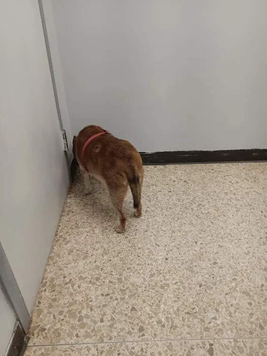 Animal Care Center Of Salem 12
