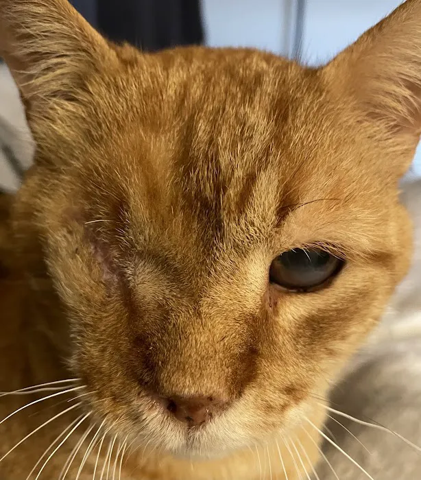 Animal Care Center Of Salem 12