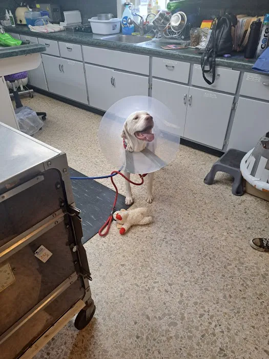 Animal Care Center Of Salem 12