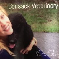 Bonsack Veterinary Hospital ico