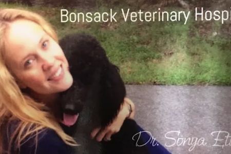 Bonsack Veterinary Hospital