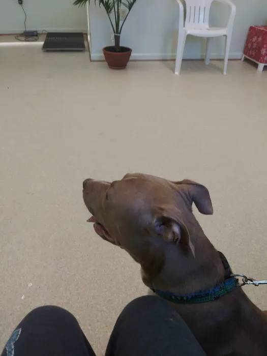 Bonsack Veterinary Hospital 12