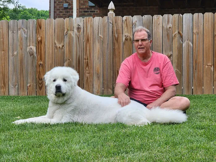 DeRolf Animal Hospital 10