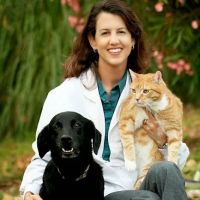 Rancho Santa Fe Veterinary: Dr. Deirdre Brandes, DVM ico