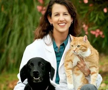 Rancho Santa Fe Veterinary: Dr. Deirdre Brandes, DVM