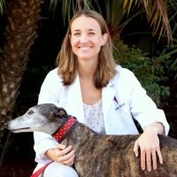 Dr. Meghan McIntosh, VMD, at Rancho Santa Fe Veterinary Hospital of Solana Beach ico