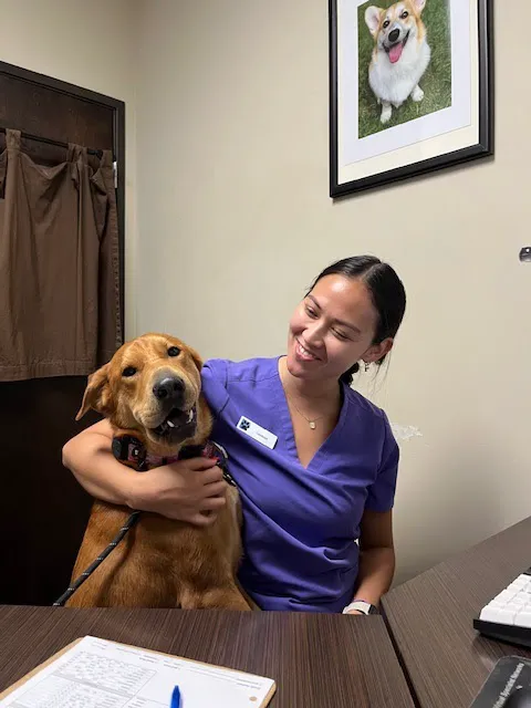 Rancho Santa Fe Veterinary Hospital 12