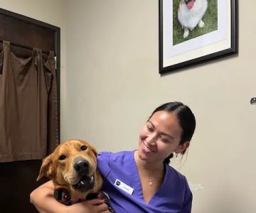 Rancho Santa Fe Veterinary Hospital