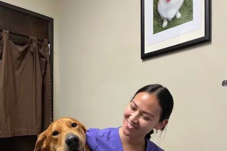 Rancho Santa Fe Veterinary Hospital