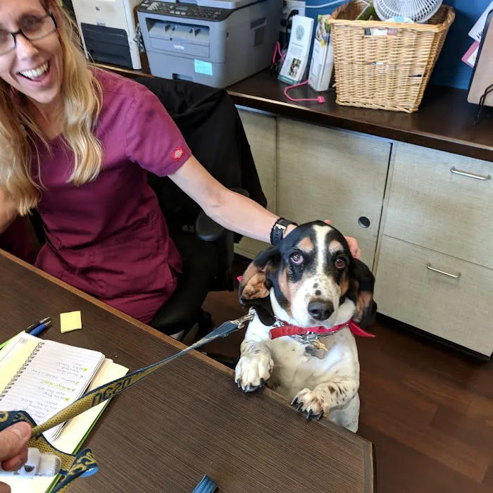 Rancho Santa Fe Veterinary Hospital 12