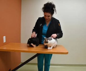 Helen Woodward Animal Center Companion Animal Hospital