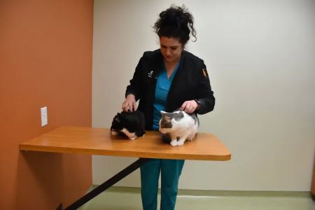 Helen Woodward Animal Center Companion Animal Hospital