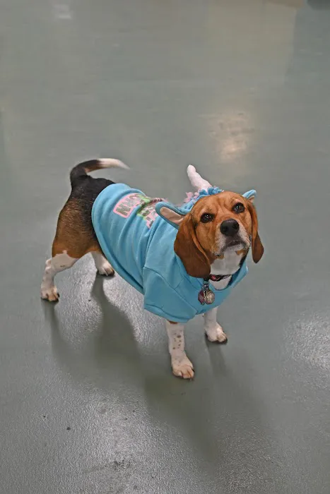 Helen Woodward Animal Center Companion Animal Hospital 5