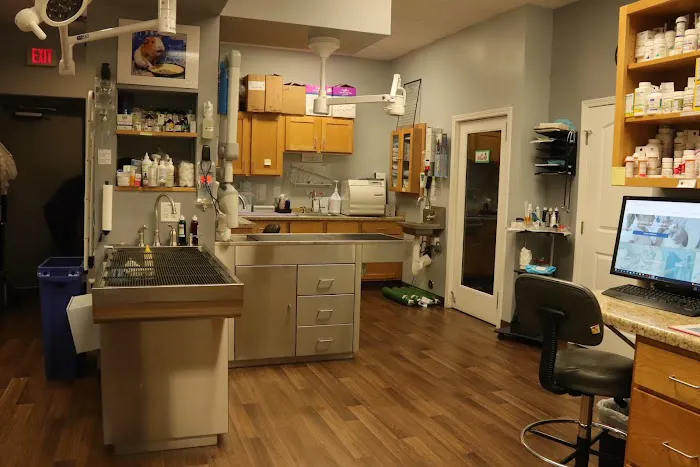 Highlands Ranch Animal Hospital 2