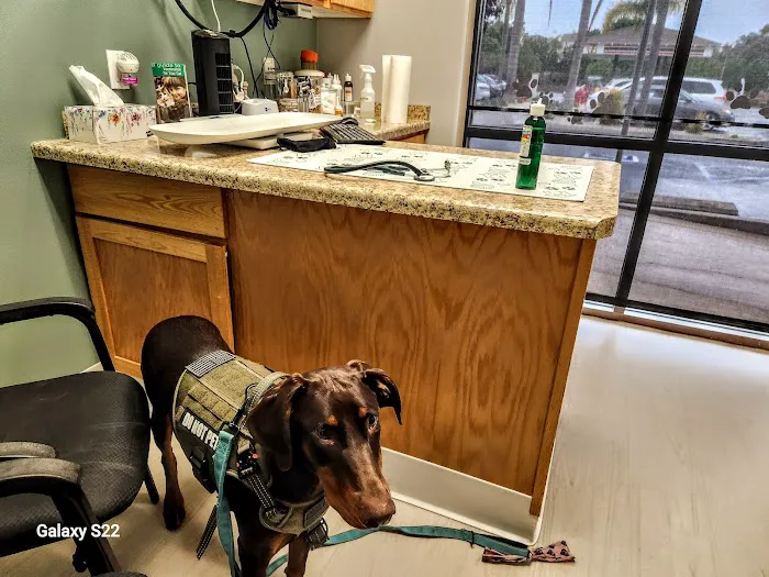 Highlands Ranch Animal Hospital 9