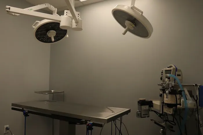 Highlands Ranch Animal Hospital 6