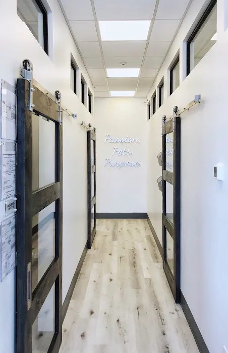 Torrey Highlands Pet Health Care Center 12
