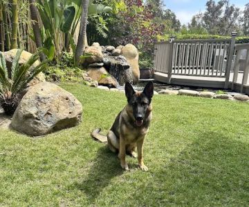 Santaluz Animal Care
