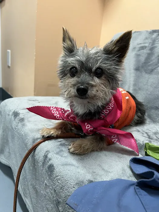 Santaluz Animal Care 7