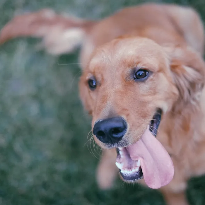 Penasquitos Pet Clinic 3