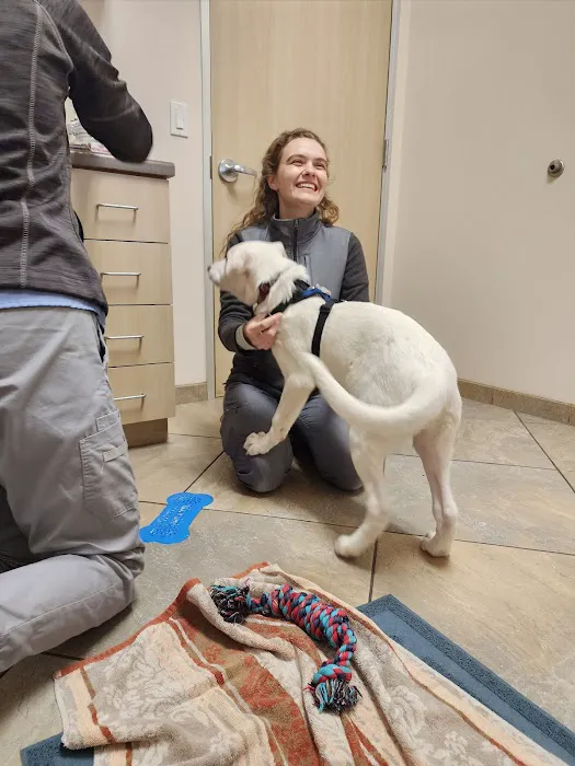 CoastView Veterinary Hospital 3
