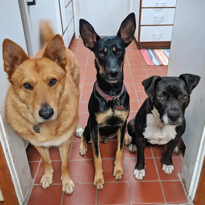 Bayview Veterinary Center 3