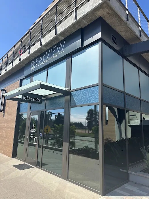 Bayview Veterinary Center 1