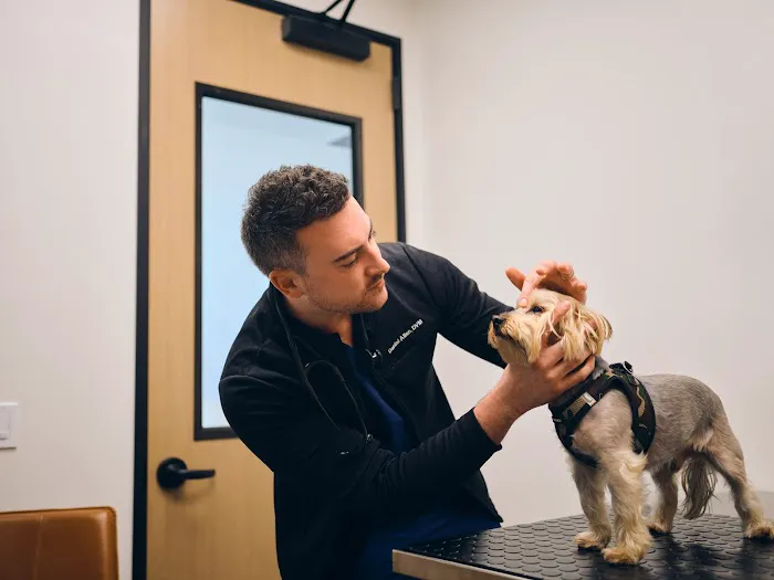 Bayview Veterinary Center 2