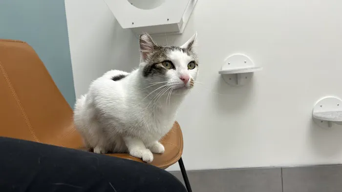 Bayview Veterinary Center 9