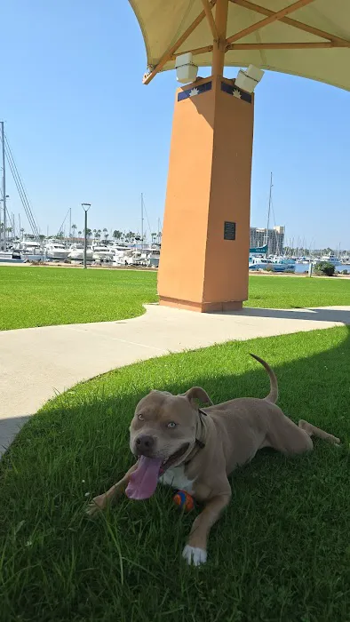 Scripps Ranch Veterinary Hospital 1